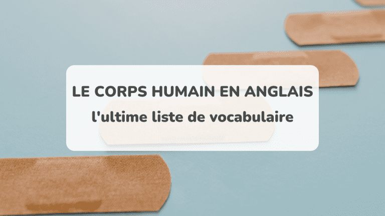 Corps humain en anglais