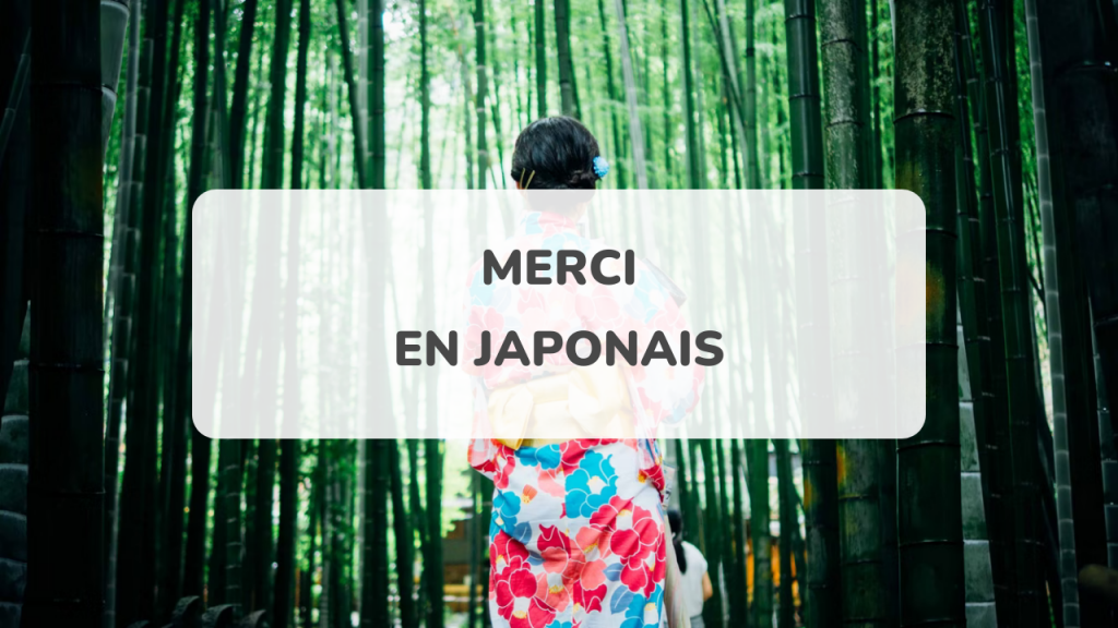 Comment dire merci en japonais Vocabulaire et Expressions AmazingTalker®
